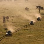 Sunset on the Serengeti—Africa