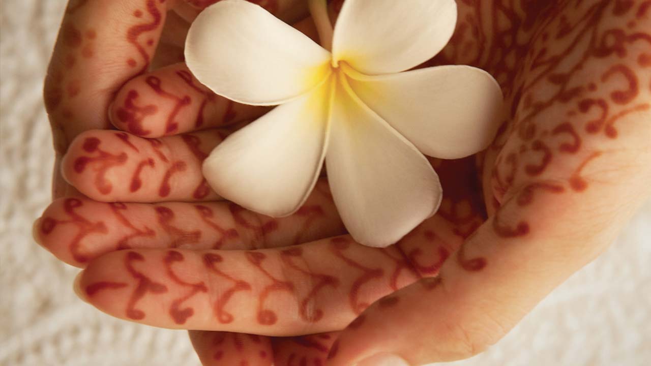 Hands holding a white flower a