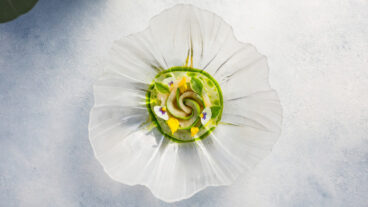 A Meal to Remember: Luxury Dining with Four Seasons