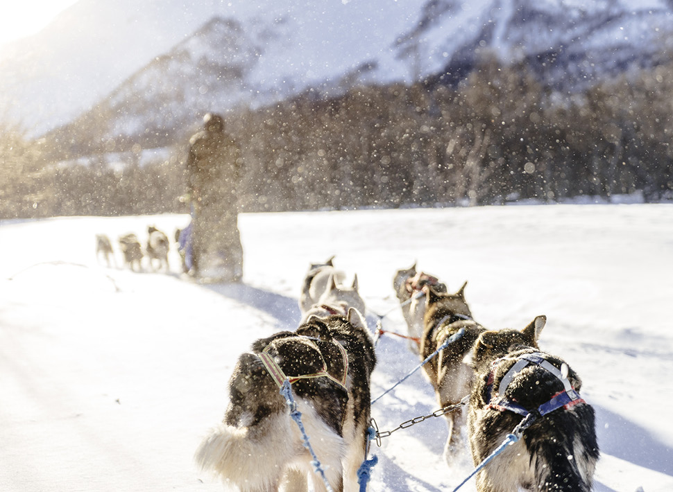 Dog sledding in Vali