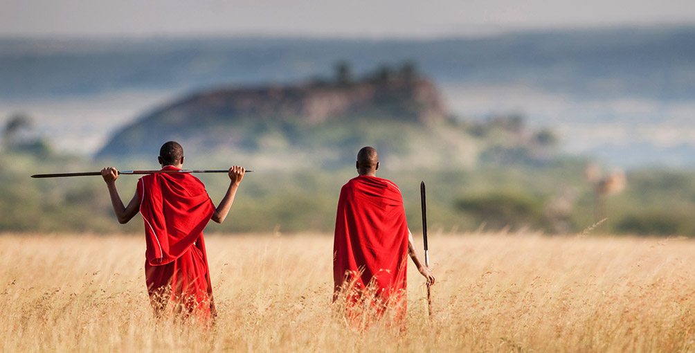 Safari Holidays: 7 Days in the Serengeti and the Seychelles