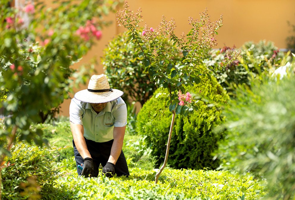 Four Seasons Istanbul at Sultanahmet Gardener in Courtyard