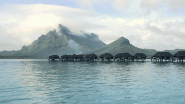 Beneath the Surface in Bora Bora