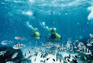 Four Seasons Bora Bora Aquabikes 992x672