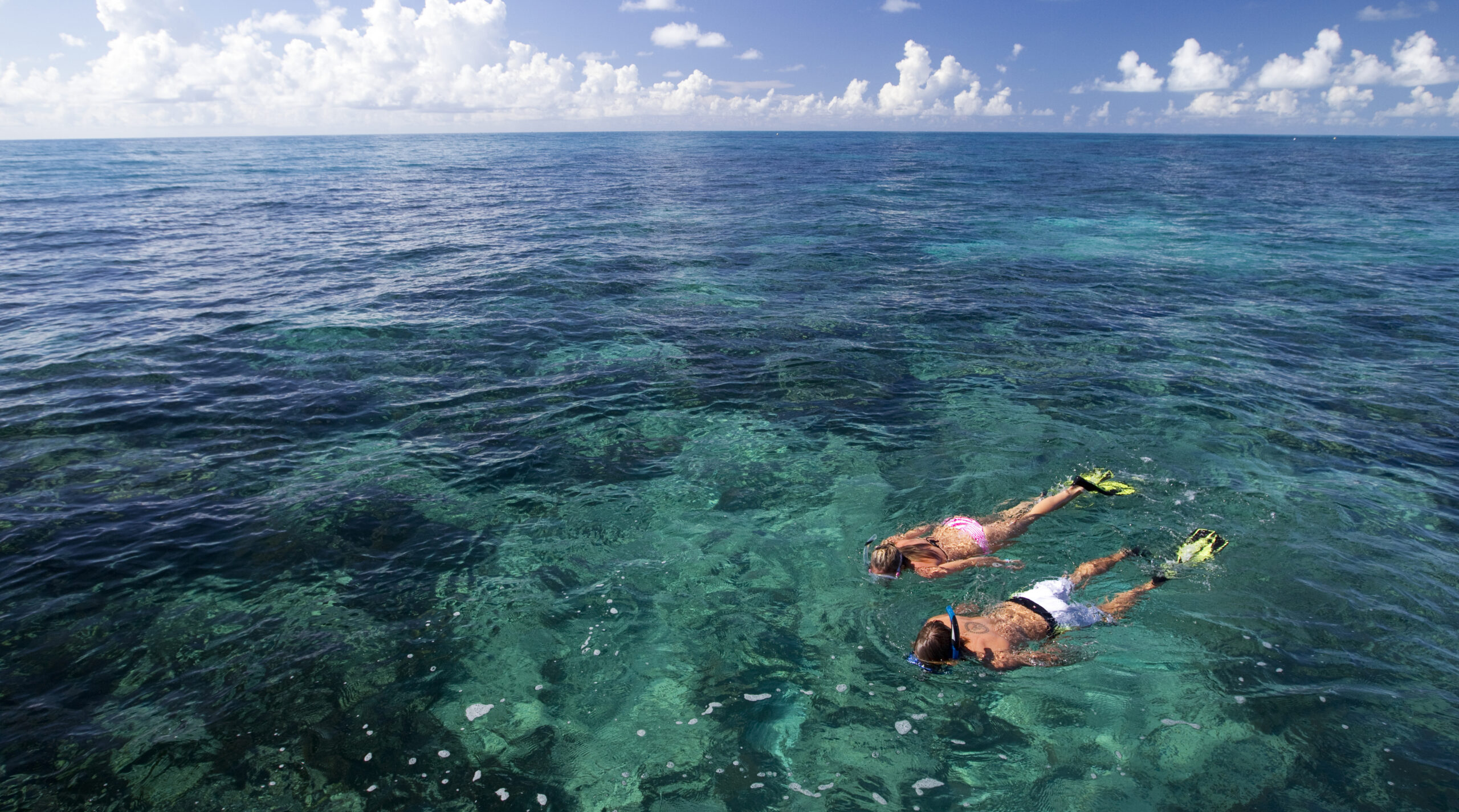 Floating Above A Coral Reef