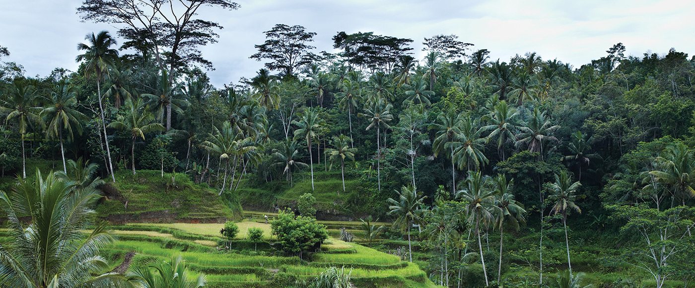 A Woman’s Love for Ubud