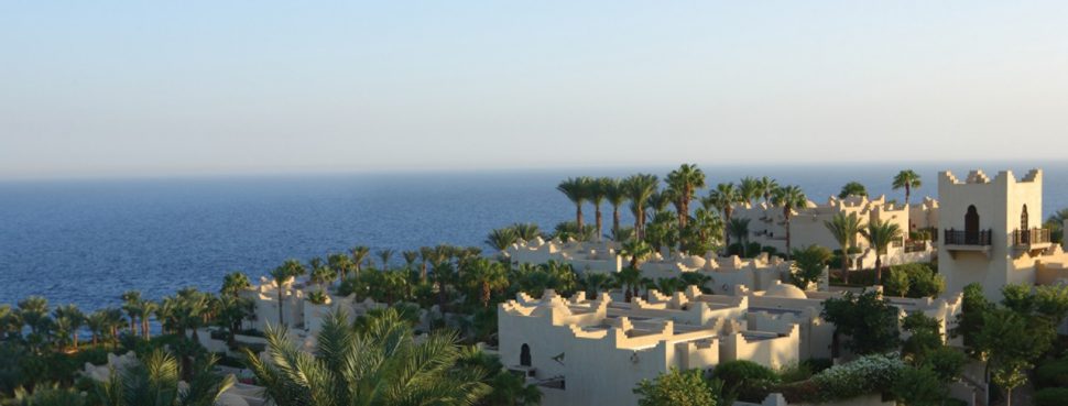 Palm trees and ocean