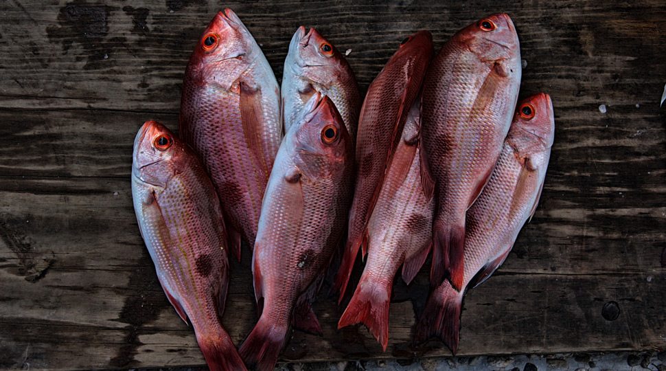 Seafood in Lisbon