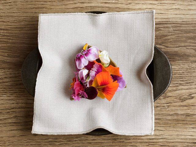 Noma dish