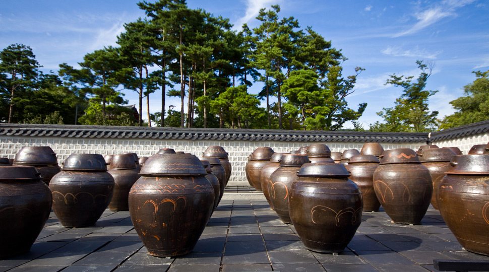 Seoul Fermenting Urns