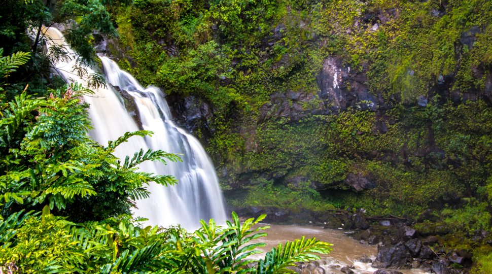 Waterfall in forest