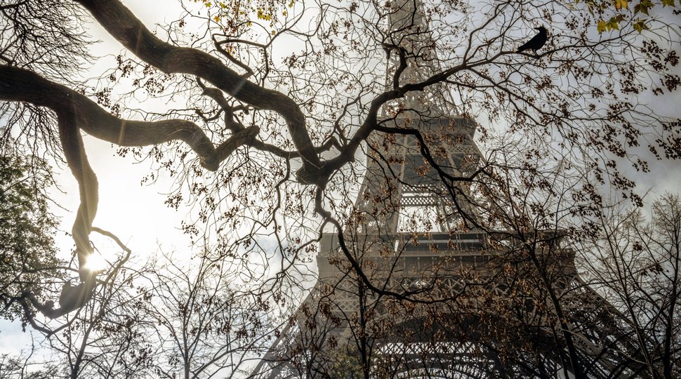 Eiffel Tower