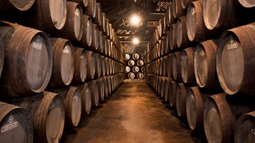 Everything You Should Know About Port Wine