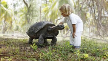 10 Animals You Can Meet on Vacation