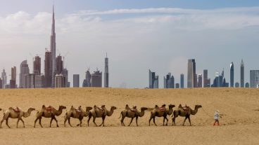 The Insider’s Guide to Dubai:  6 People You Need to Meet