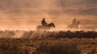 An Unforgettable Journey Through Latin America