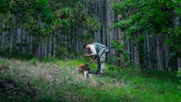 7 Reasons You Must Go Truffle Hunting in Tuscany