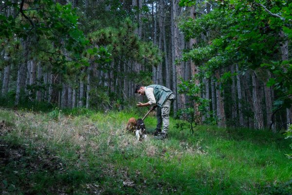 7 Reasons You Must Go Truffle Hunting in Tuscany