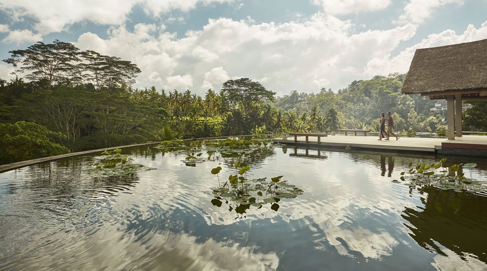 Rooftop Lotus Pond at Four Seasons Resort Bali at Sayan