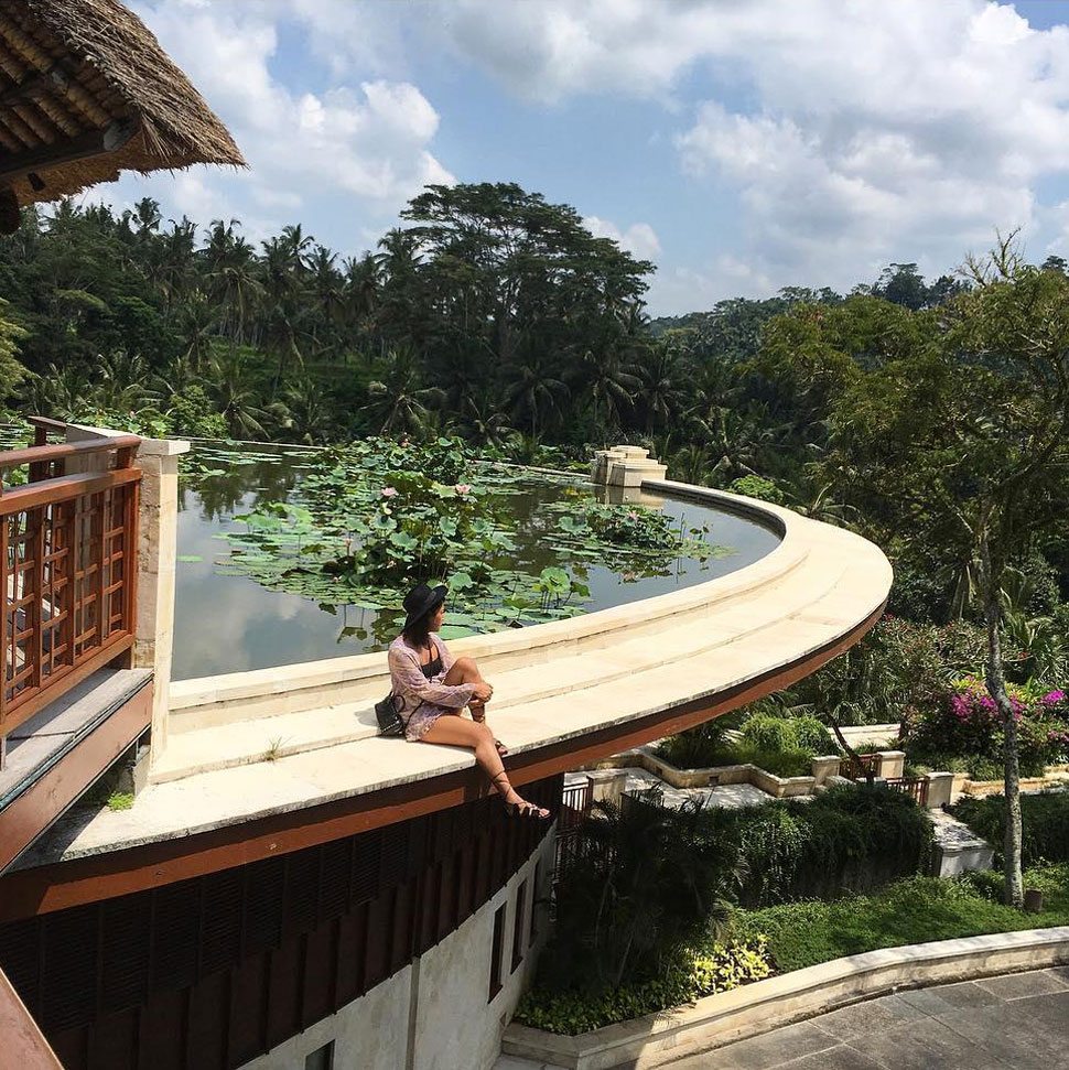 Rooftop Lotus Pond