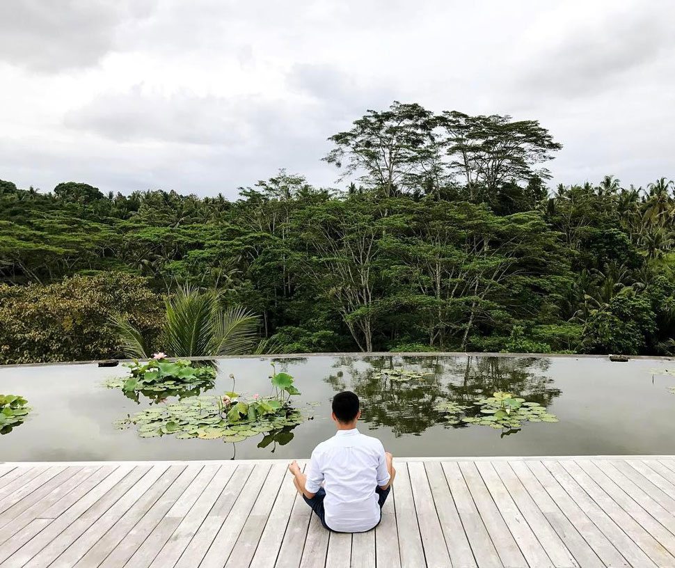 Rooftop Lotus Pond