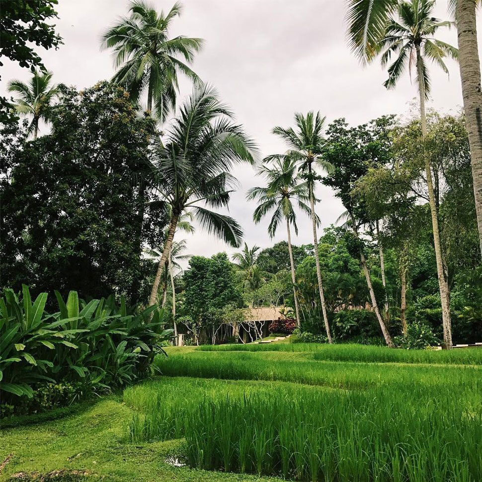Yoga in Bali