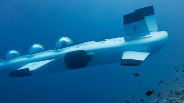 The Water Sports to Conquer on Your Next Trip