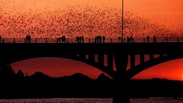 How to Upgrade Your Sunset Experience