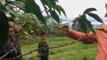 How Gratitude Inspired a Global Quest