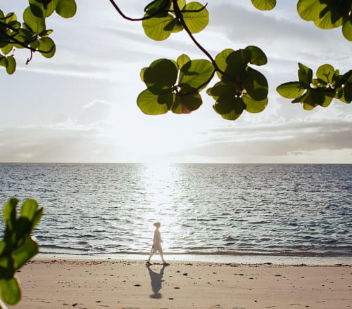 Secrets of a Seychelles Digital Detox