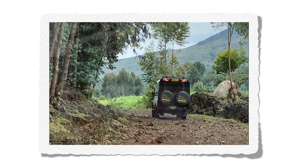 Mountain gorilla expedition Rwanda