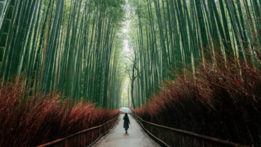Reconnect With the World: How Travel Can Free Your Creativity