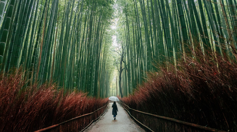 Reconnect With the World: How Travel Can Free Your Creativity