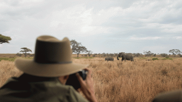 Double Exposure:  Photographer Nicolas Ruel  Captures the Majestic Serengeti