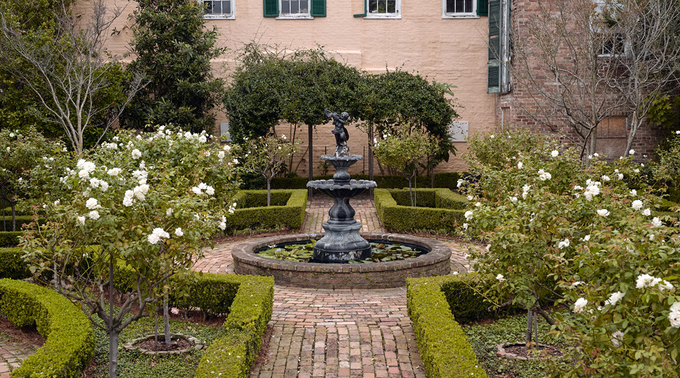 A stone fountain in the middle of a garden of white flowers and green bushes