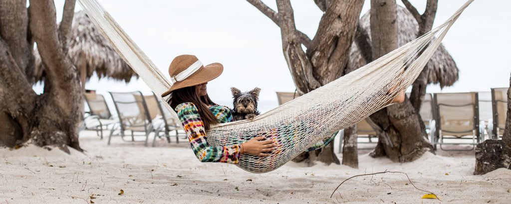 7 Pet-Friendly Escapes: The Dog Diaries