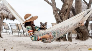 7 Pet-Friendly Escapes: The Dog Diaries