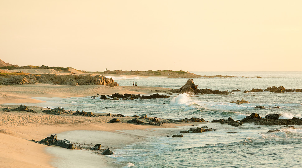 Csp 006 970x540