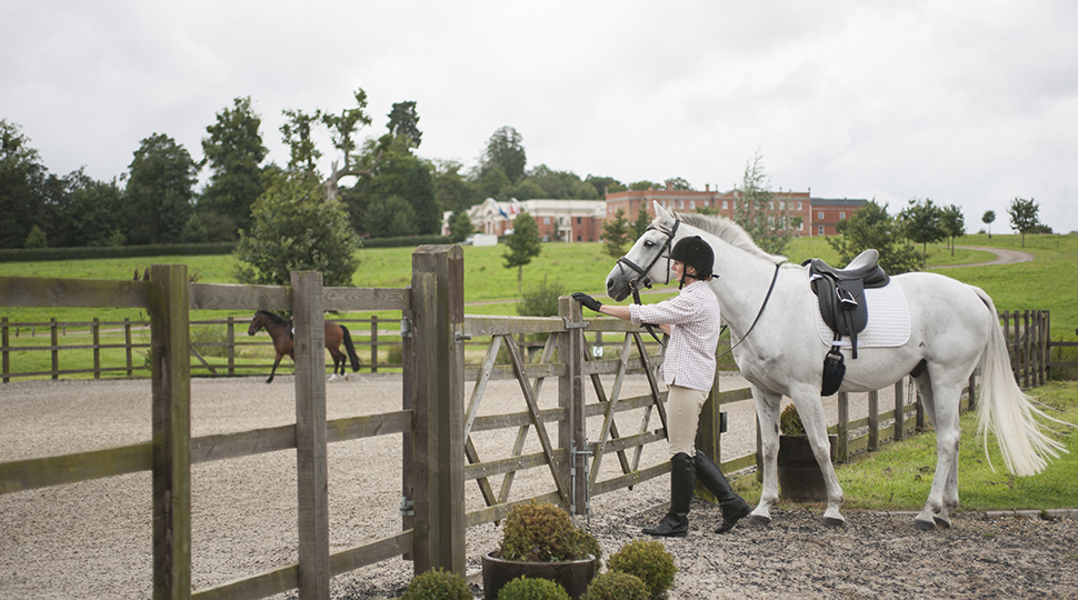 A person leads a white horse into a fenced area in the English countryside