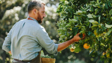 Get a New Perspective on the Planet With Farm-to-Table Experiences