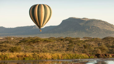 Beyond Expectations: Curated Journeys by Land, Sea and Sky