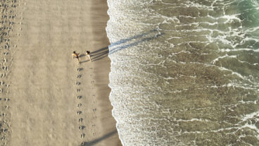 Follow the Sun This Winter