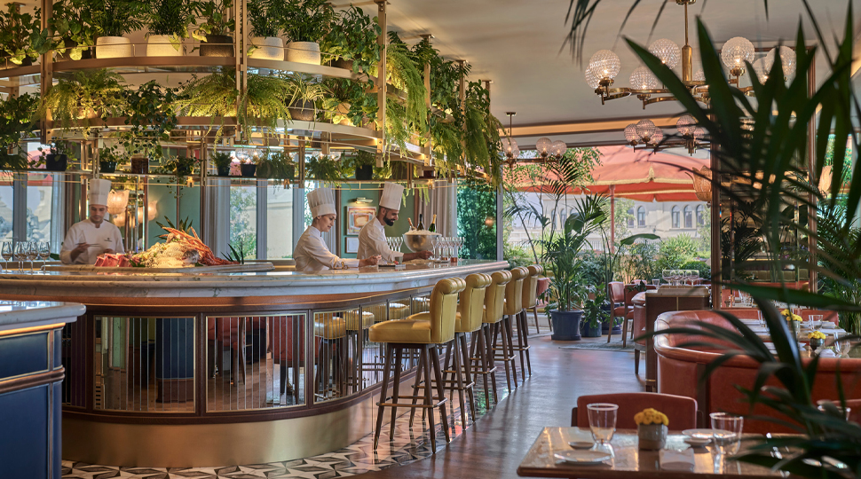 Curved bar area with greenery overhead