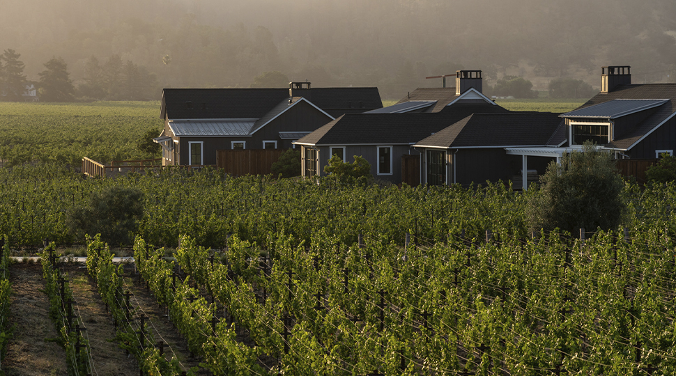 Three villas set in the middle of a vineyard