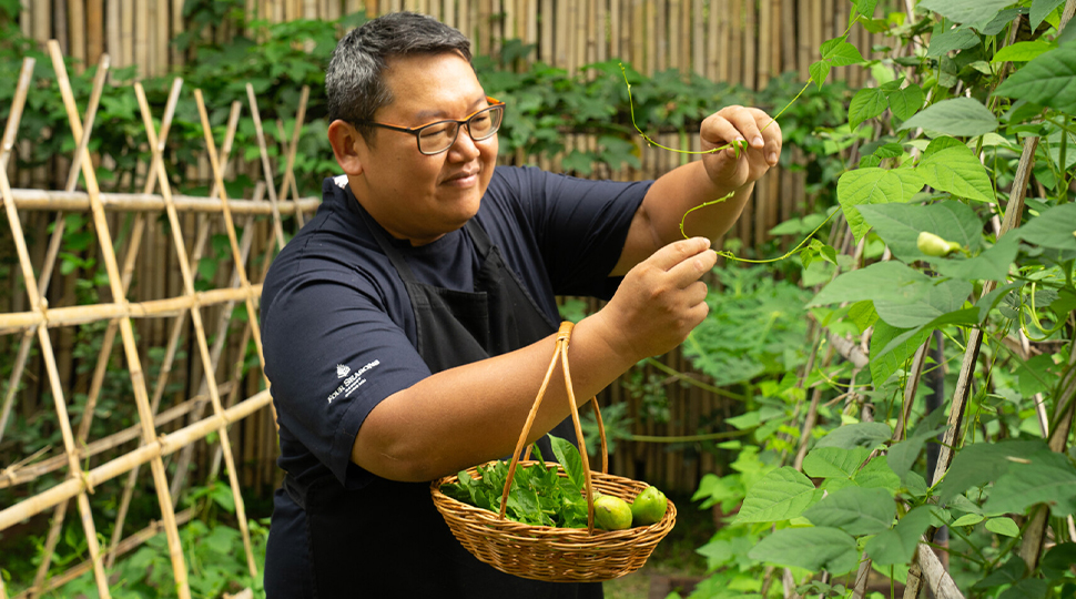 Chef wearing glasses and a black short-sleeve chef's shirt picks produce from a garden