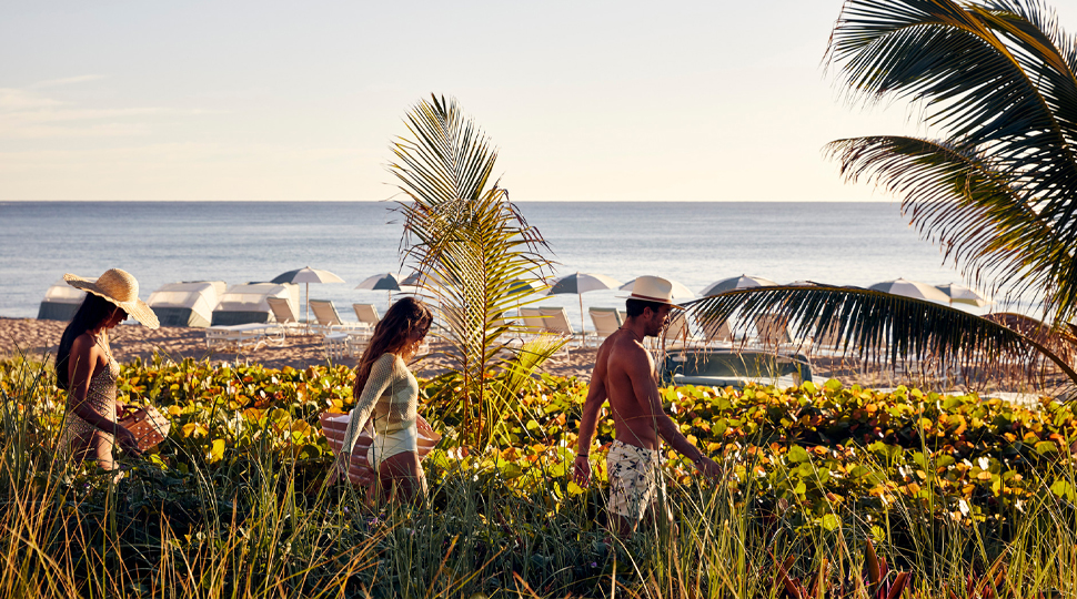 A group of people walking through tall grass and plants towards a beach.