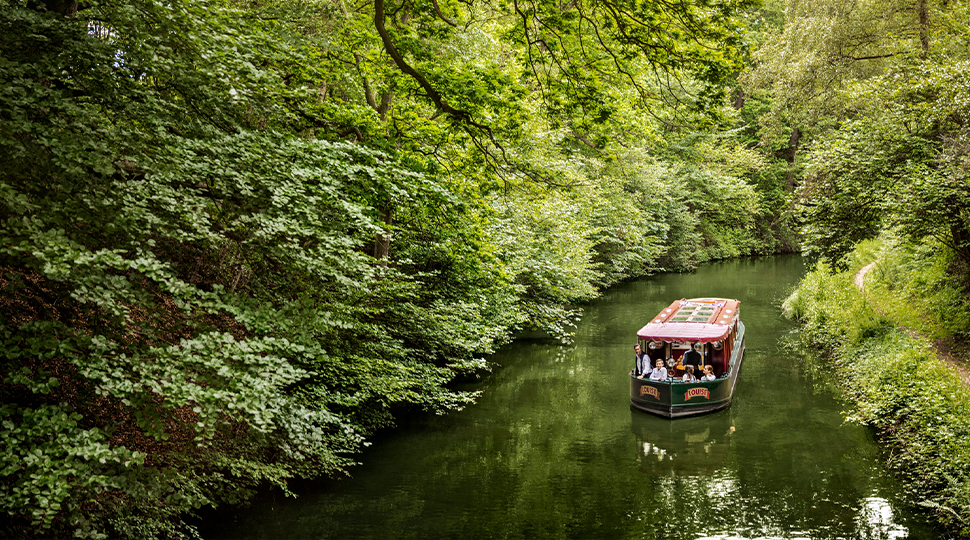 Canal boat floats along the tree-lined water