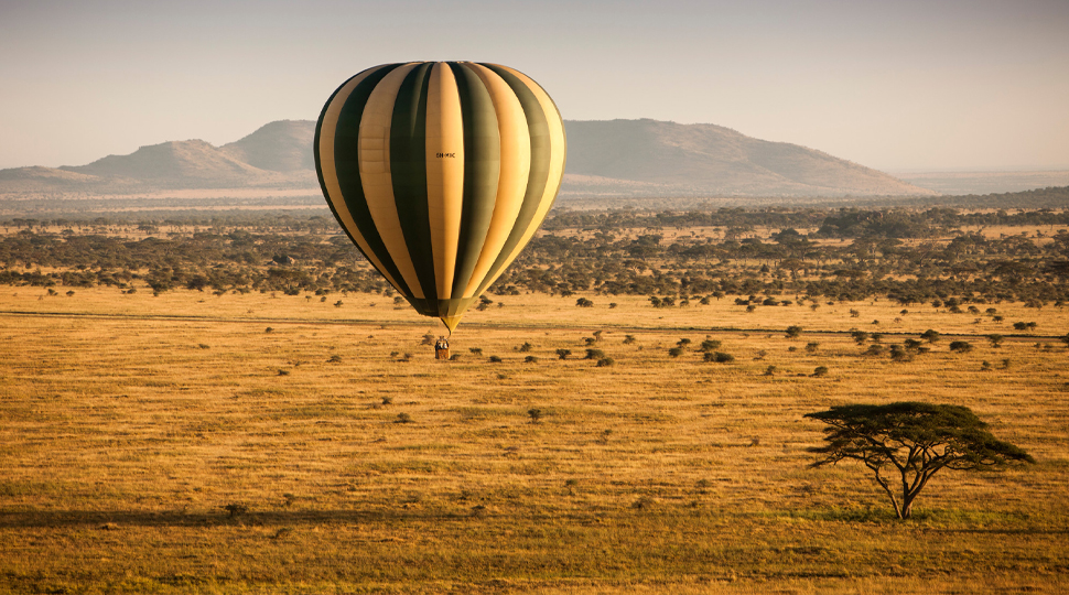 Blue-and-yellow hot air balloon rises above the African savanna