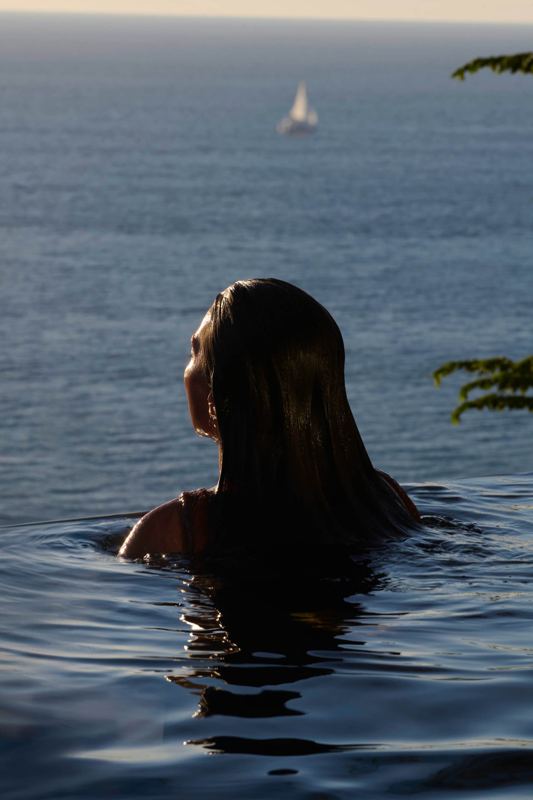 Wellness Is on the Menu